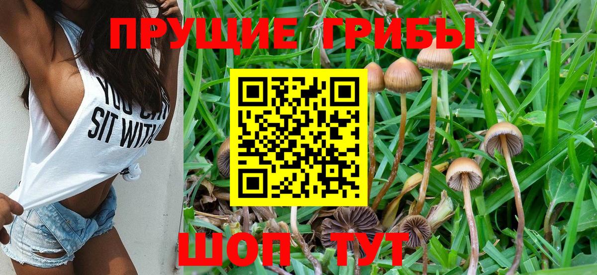 Галлюциногенные грибы Psilocybe  Псилоцибиновые грибы Cubensis  Обнинск  Вход с VPN 