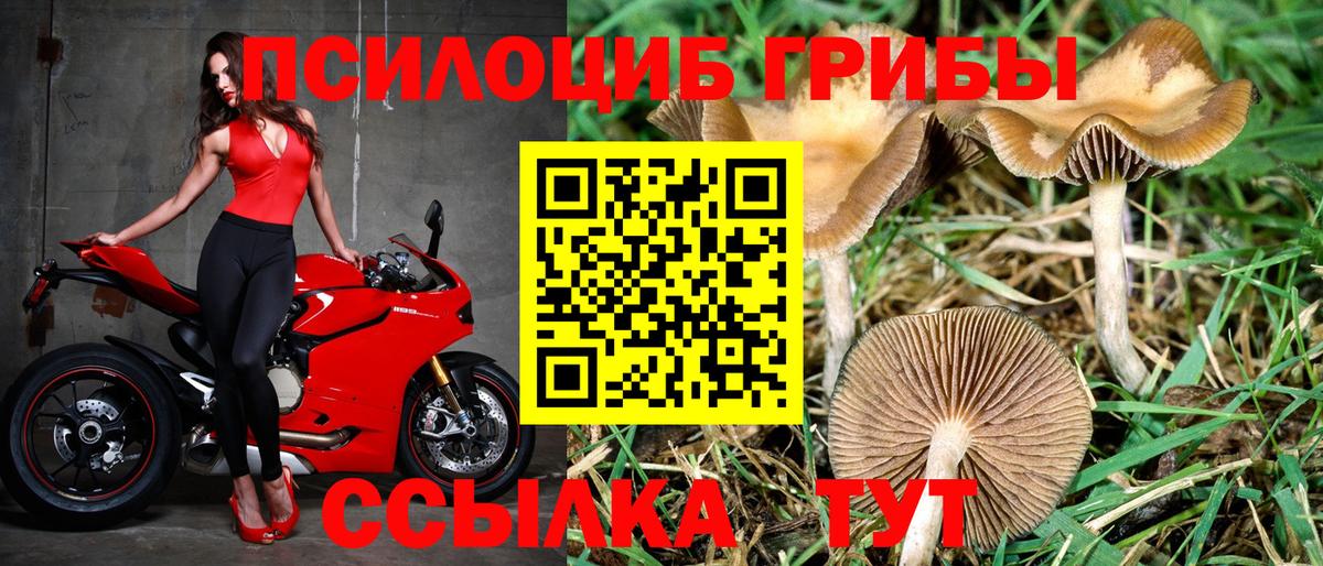 Галлюциногенные грибы мухоморы Обнинск