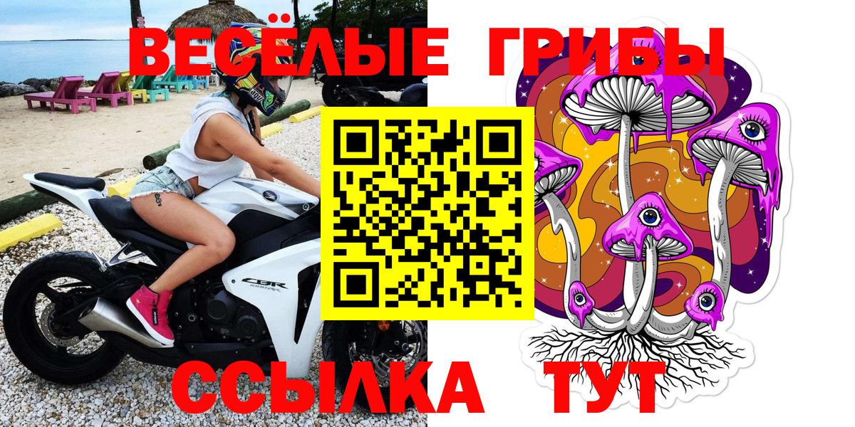 ГАШ Обнинск